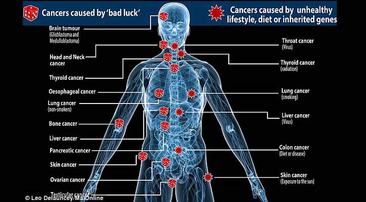বেশিরভাগ ক্যান্সারেরই কারণ দুর্ভাগ্য!