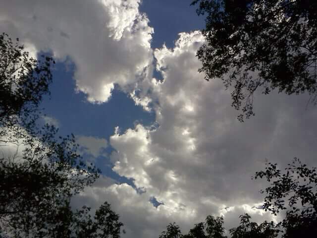 ১৬ কোটি নীরব দর্শক